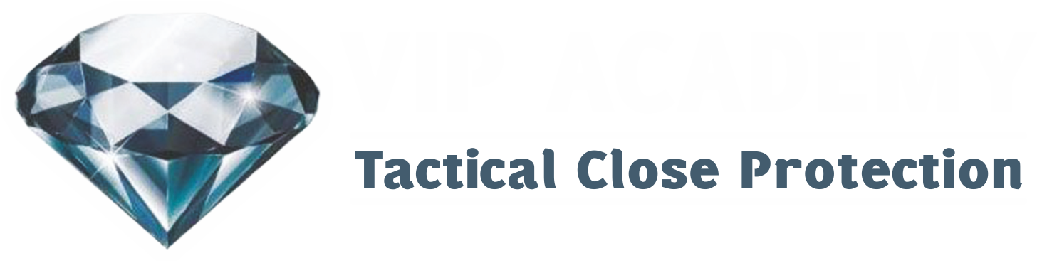 vip logo